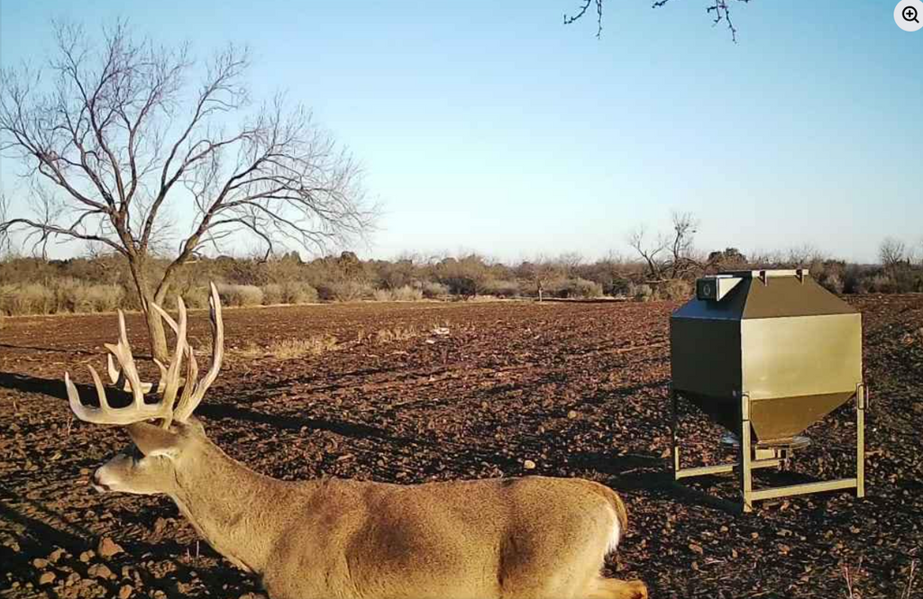 600# Lucky Buck Deer Feeder